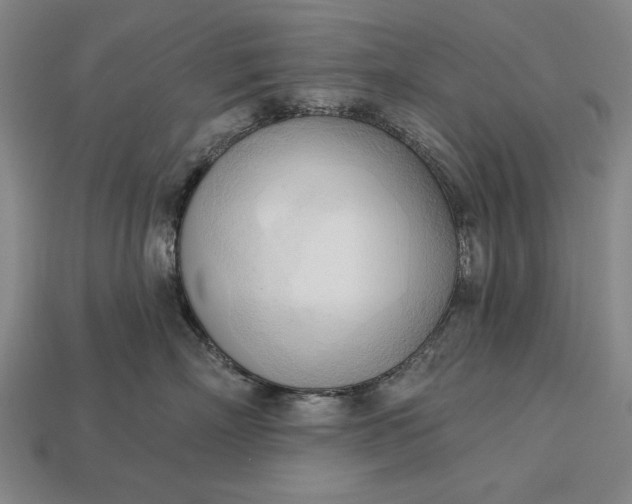 X0000113130718200909181709