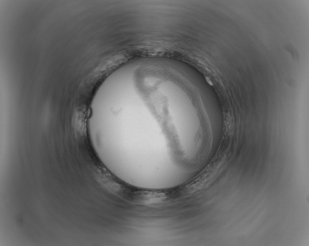 X0000113130719200909181709