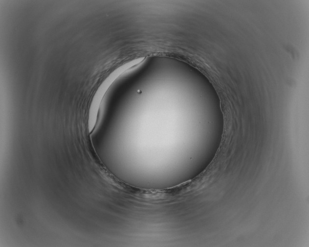 X0000113130720200909181709