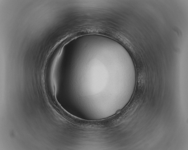 X0000113130722200909181709