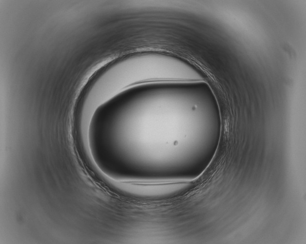 X0000113130724200909181709