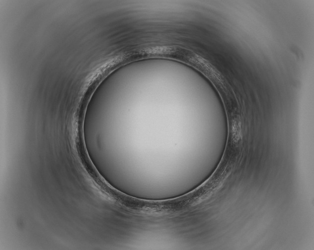 X0000113130725200909181709