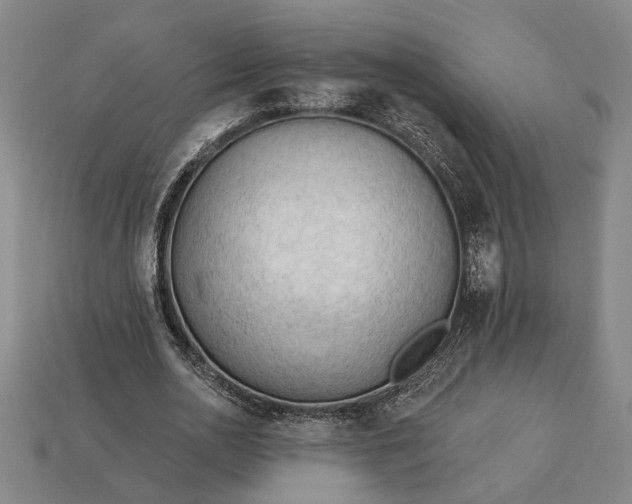 X0000113130726200909181709