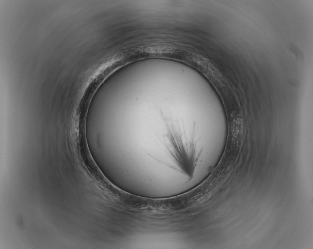 X0000113130727200909181709