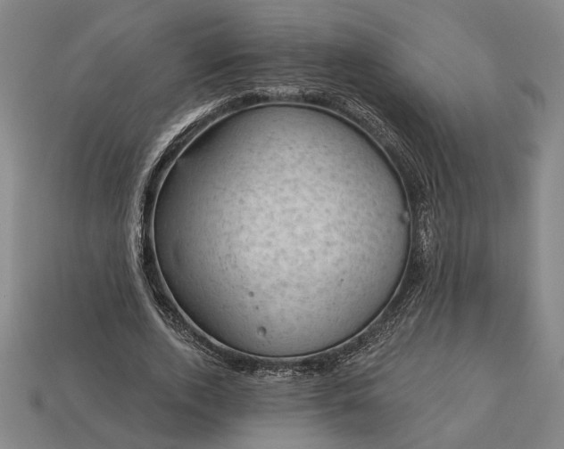 X0000113130728200909181709