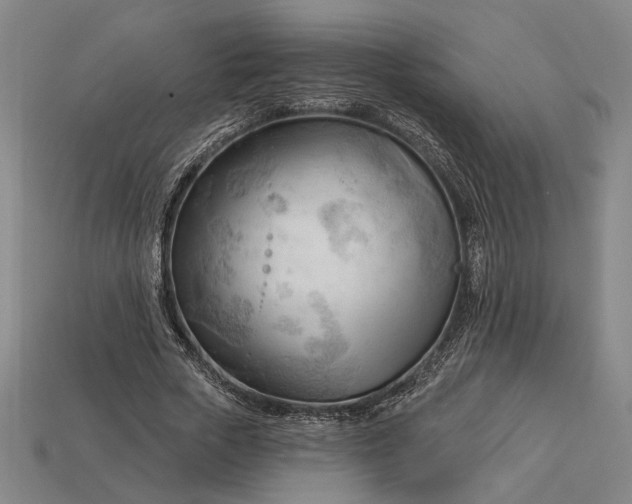 X0000113130729200909181709