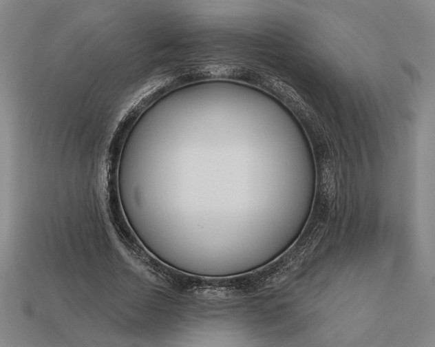 X0000113130730200909181709