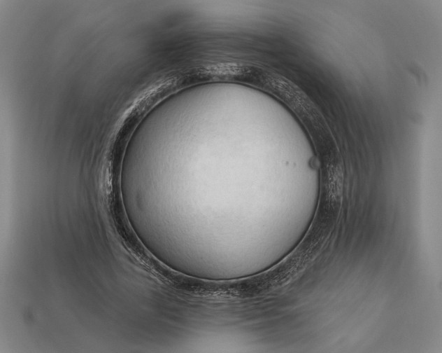 X0000113130731200909181709