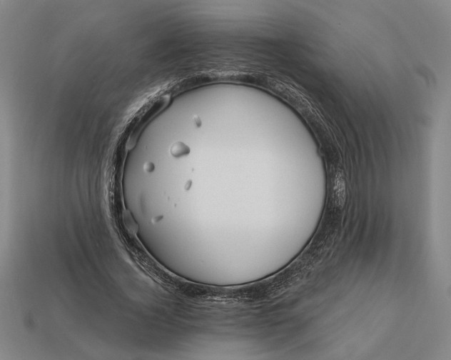 X0000113130732200909181709