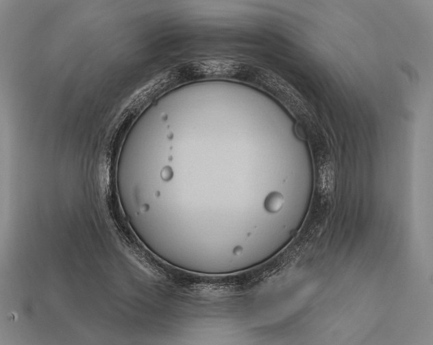 X0000113130733200909181709