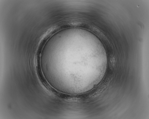 X0000113130734200909181709