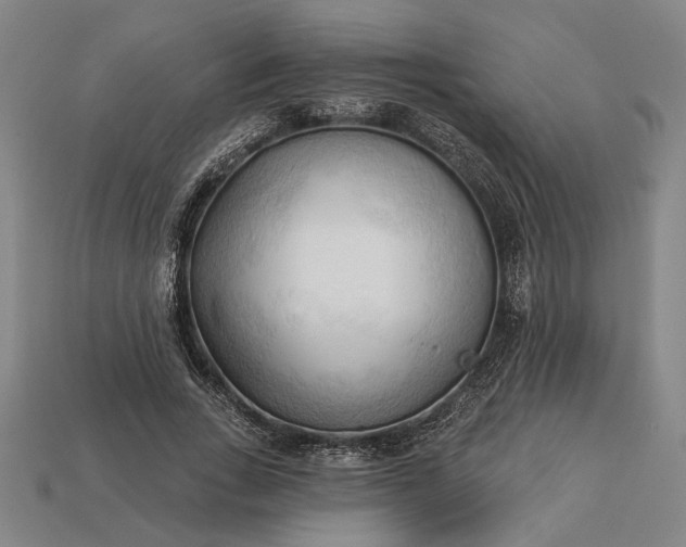 X0000113130735200909181709