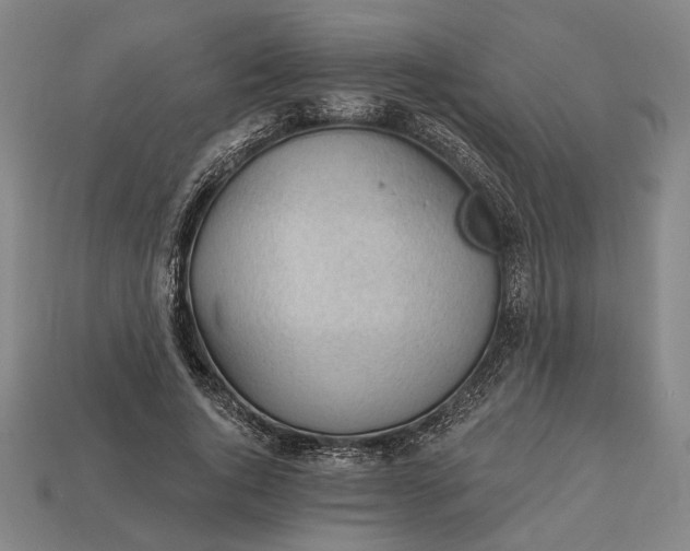 X0000113130736200909181709