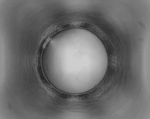 X0000113130738200909181709