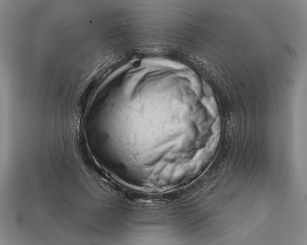 X0000113130739200909181709