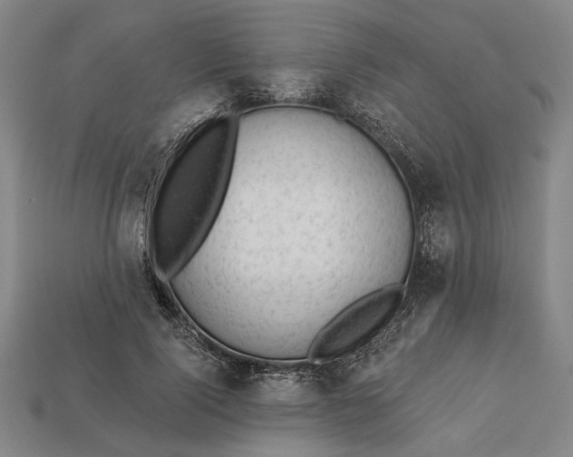 X0000113130740200909181709