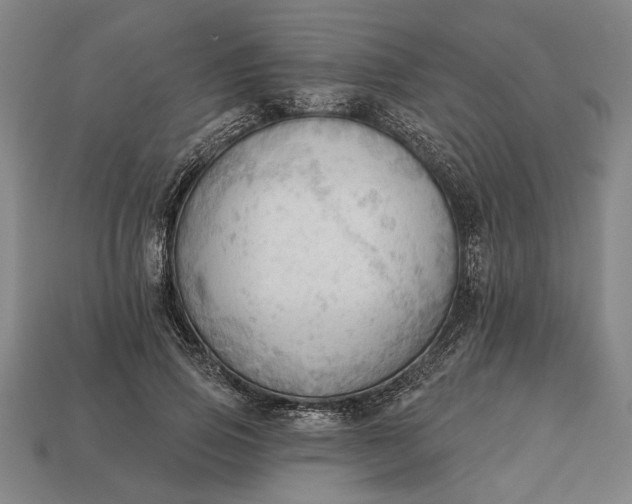 X0000113130741200909181709