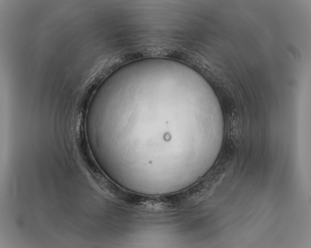 X0000113130742200909181709