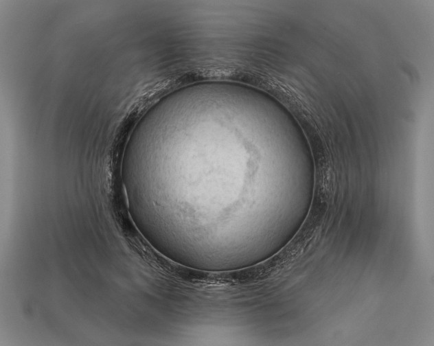 X0000113130743200909181709