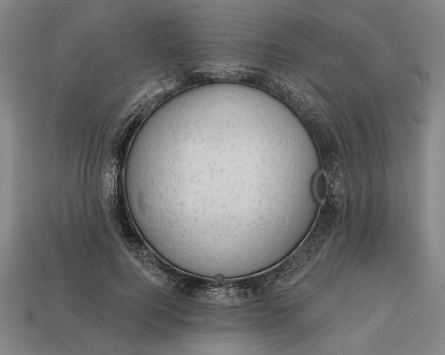 X0000113130744200909181709