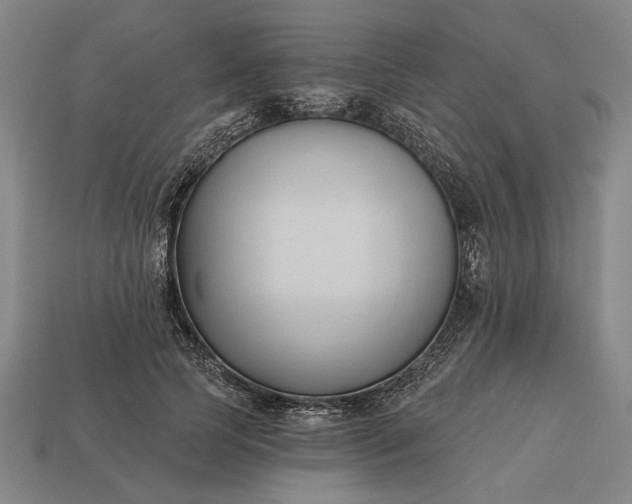 X0000113130745200909181709