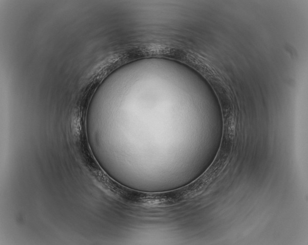 X0000113130746200909181709