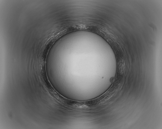 X0000113130747200909181709