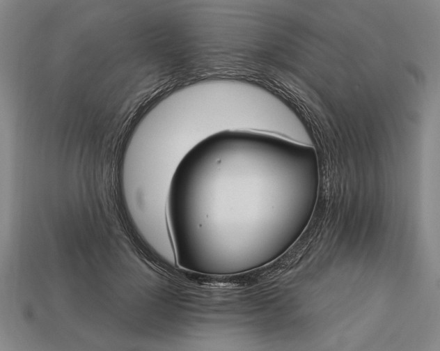 X0000113130748200909181709