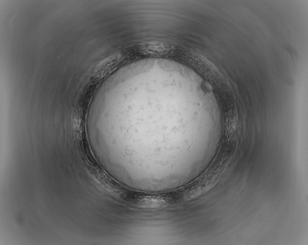 X0000113130749200909181709