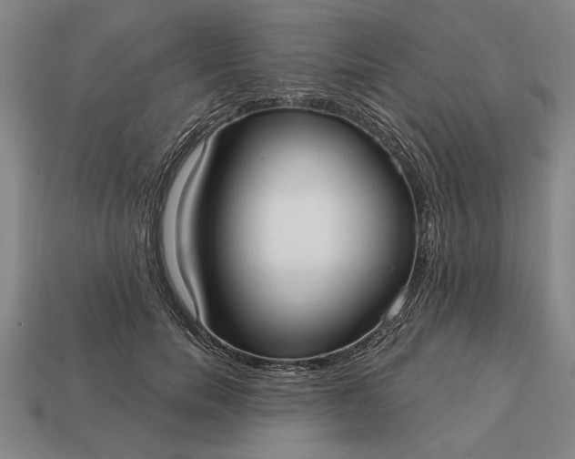 X0000113130750200909181709