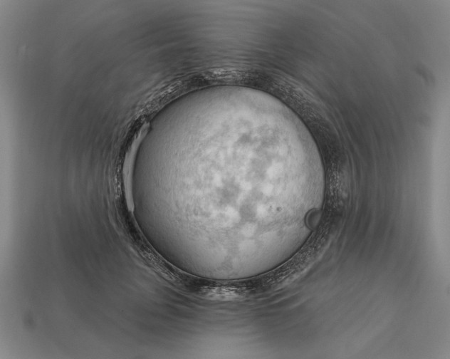 X0000113130751200909181709