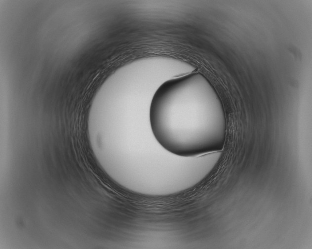 X0000113130752200909181709