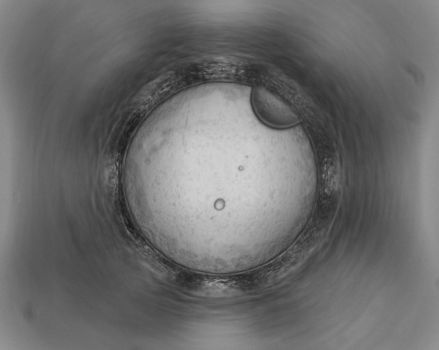 X0000113130753200909181709