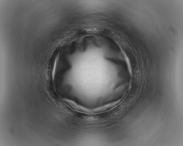 X0000113130755200909181709