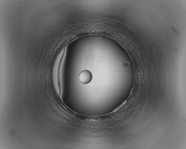 X0000113130756200909181709