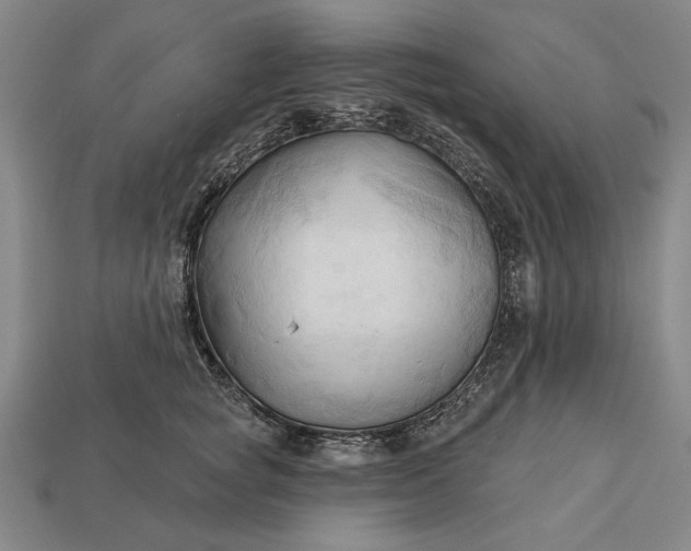 X0000113130757200909181709