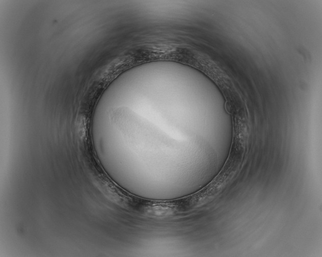 X0000113130758200909181709