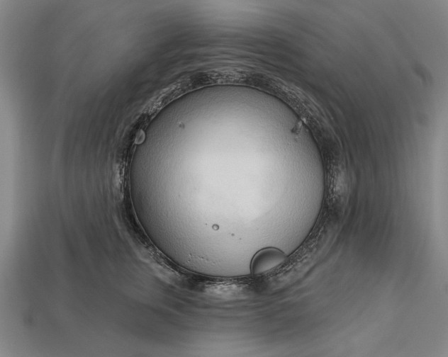 X0000113130759200909181709