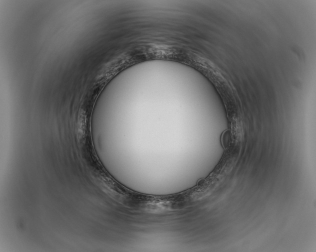 X0000113130760200909181709