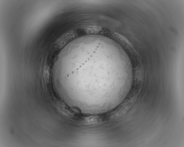 X0000113130761200909181709