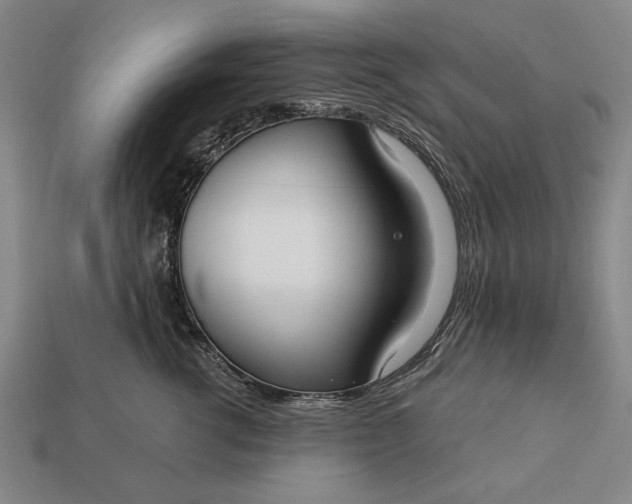 X0000113130762200909181709