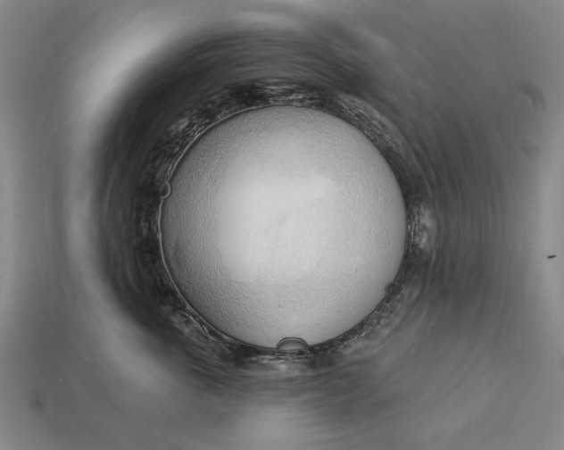 X0000113130763200909181709