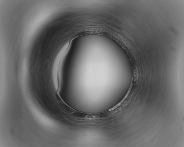 X0000113130764200909181709