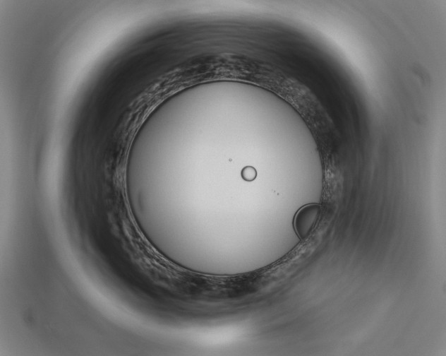 X0000113130765200909181709