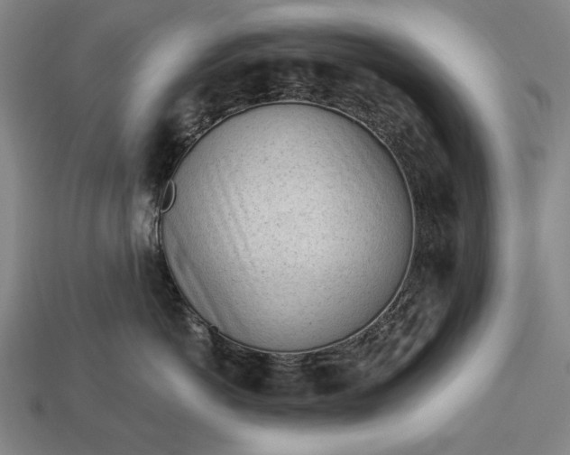 X0000113130766200909181709