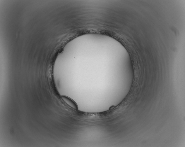 X0000113130768200909181709