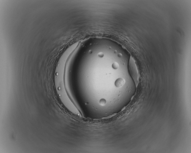 X0000113130769200909181709