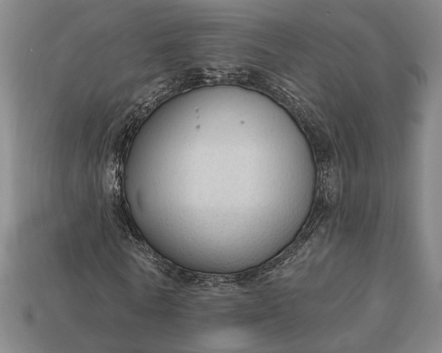 X0000113130770200909181709