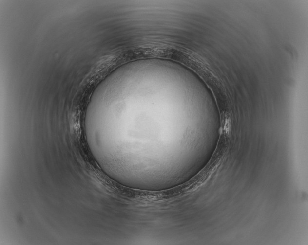 X0000113130771200909181709