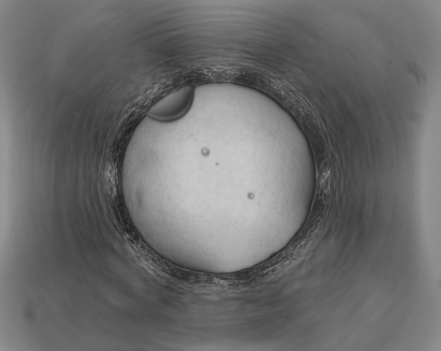 X0000113130772200909181709